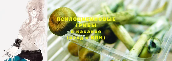 амф Абинск