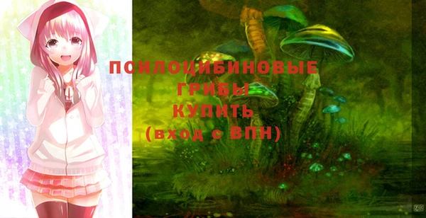 амф Абинск