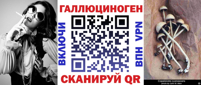 Псилоцибиновые грибы Psilocybe  mega сайт  Звенигород 